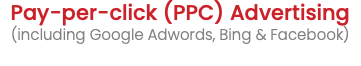Pay-per-click (PPC) Advertising (including Google Adwords, Bing & Facebook)